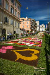 Infiorata of Genzano di Roma 2007 (326)