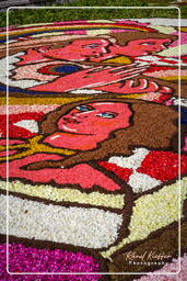 Infiorata of Genzano di Roma 2007 (328)