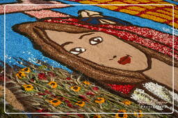 Infiorata of Genzano di Roma 2007 (339)