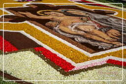 Infiorata di Genzano di Roma 2007 (343)