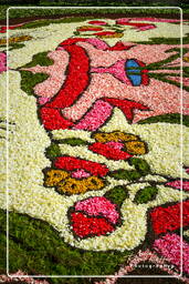 Infiorata di Genzano di Roma 2007 (344)