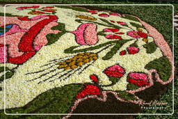 Infiorata von Genzano di Roma 2007 (345)