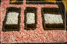 Infiorata von Genzano di Roma 2007 (346)