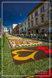 Infiorata de Genzano di Roma 2007 (347)