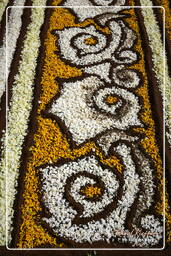 Infiorata of Genzano di Roma 2007 (350)