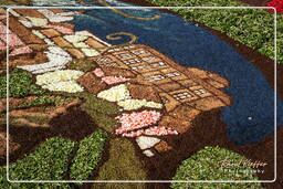 Infiorata of Genzano di Roma 2007 (357)