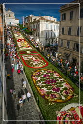 Infiorata von Genzano di Roma 2007 (362)