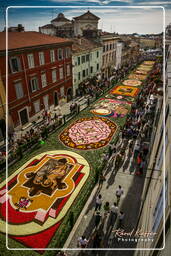 Infiorata de Genzano di Roma 2007 (366)