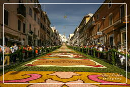 Infiorata of Genzano di Roma 2007 (368)