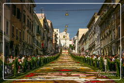 Infiorata di Genzano di Roma 2007 (369)