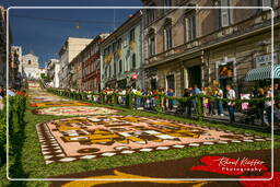 Infiorata von Genzano di Roma 2007 (372)