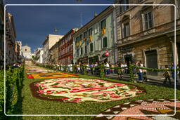 Infiorata von Genzano di Roma 2007 (374)