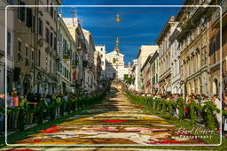 Infiorata von Genzano di Roma 2007 (380)