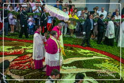 Infiorata of Genzano di Roma 2007 (402)