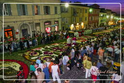 Infiorata von Genzano di Roma 2007 (404)