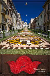 Infiorata di Genzano di Roma 2007 (416)