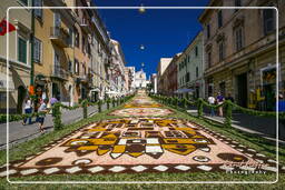 Infiorata de Genzano di Roma 2007 (417)