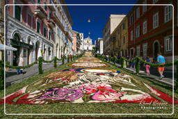 Infiorata de Genzano di Roma 2007 (419)