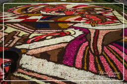 Infiorata de Genzano di Roma 2007 (422)