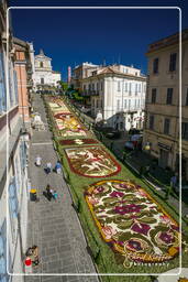 Infiorata di Genzano di Roma 2007 (423)