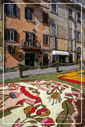 Infiorata de Genzano di Roma 2007 (429)