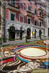 Infiorata of Genzano di Roma 2007 (432)