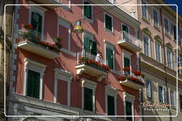 Infiorata of Genzano di Roma 2007 (434)