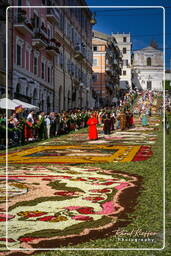 Infiorata de Genzano di Roma 2007 (437)