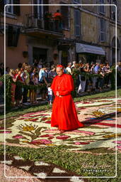 Infiorata von Genzano di Roma 2007 (441)