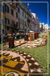 Infiorata von Genzano di Roma 2007 (442)