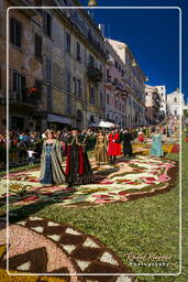 Infiorata di Genzano di Roma 2007 (444)