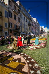 Infiorata von Genzano di Roma 2007 (447)