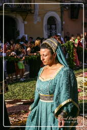 Infiorata of Genzano di Roma 2007 (448)