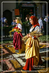 Infiorata von Genzano di Roma 2007 (452)