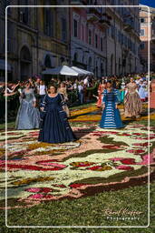 Infiorata de Genzano di Roma 2007 (456)