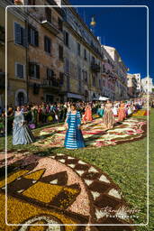 Infiorata de Genzano di Roma 2007 (458)