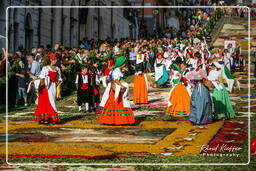 Infiorata di Genzano di Roma 2007 (473)