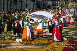 Infiorata di Genzano di Roma 2007 (482)