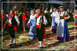 Infiorata de Genzano di Roma 2007 (493)