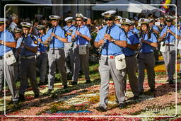 Infiorata de Genzano di Roma 2007 (506)