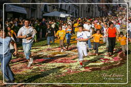 Infiorata von Genzano di Roma 2007 (510)