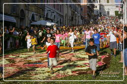 Infiorata de Genzano di Roma 2007 (511)