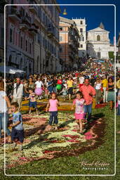 Infiorata von Genzano di Roma 2007 (515)