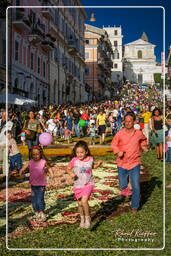 Infiorata of Genzano di Roma 2007 (516)