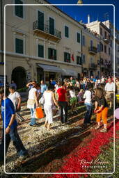 Infiorata von Genzano di Roma 2007 (523)