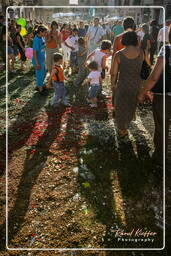 Infiorata de Genzano di Roma 2007 (526)