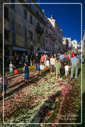 Infiorata of Genzano di Roma 2007 (532)
