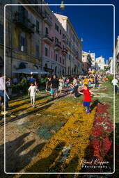 Infiorata of Genzano di Roma 2007 (536)