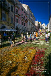 Infiorata of Genzano di Roma 2007 (537)