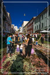 Infiorata of Genzano di Roma 2007 (540)